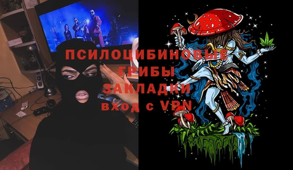 Альфа ПВП Балабаново