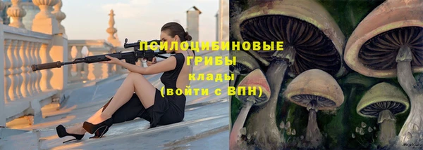 Альфа ПВП Балабаново
