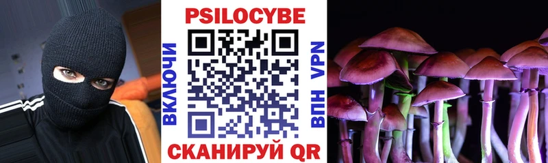 где можно купить наркотик  Бирюч  Псилоцибиновые грибы Psilocybine cubensis 